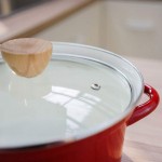 GFDFD Grand Cocotte Induction Pan avec Couvercle en Verre trempé Cook Marmite Convient for Tous Les Types HOB - B08GFD3T32P