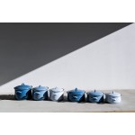 Riess 0608-129 Marmite avec couvercle 20 cm 3,5 l émail classique bleu foncé 1,676 kg 3,5 l 28 x 21,8 x 13,4 cm - B09Y9CL2GR1