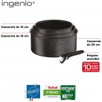 Tefal Ingenio Préférence Lot de 2 Poêles 22 26 cm + poignée amovible Batterie de cuisine induction & Ingenio Authentic Set de 3 casseroles 16 18 20 cm 1,5 2,1 3 L + poignée amovible - B09NDVLK4S1